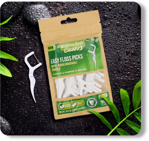 EASY FLOSS PICKS  The Simplest way to floss