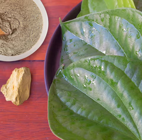 BENTONITE CLAY  COMBINES WITH BETEL LEAF SAFELY  